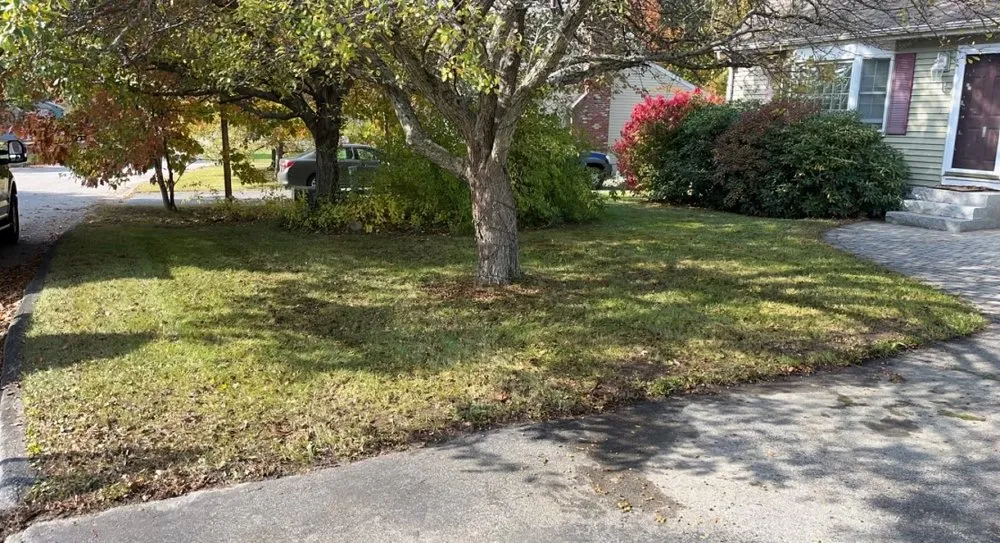 Custom garden landscaping with custom design in Portland, ME by Steele Lawns