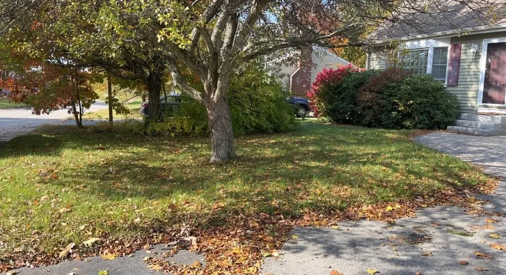 Affordable lawn mowing service in Portland, ME by Steele Lawns