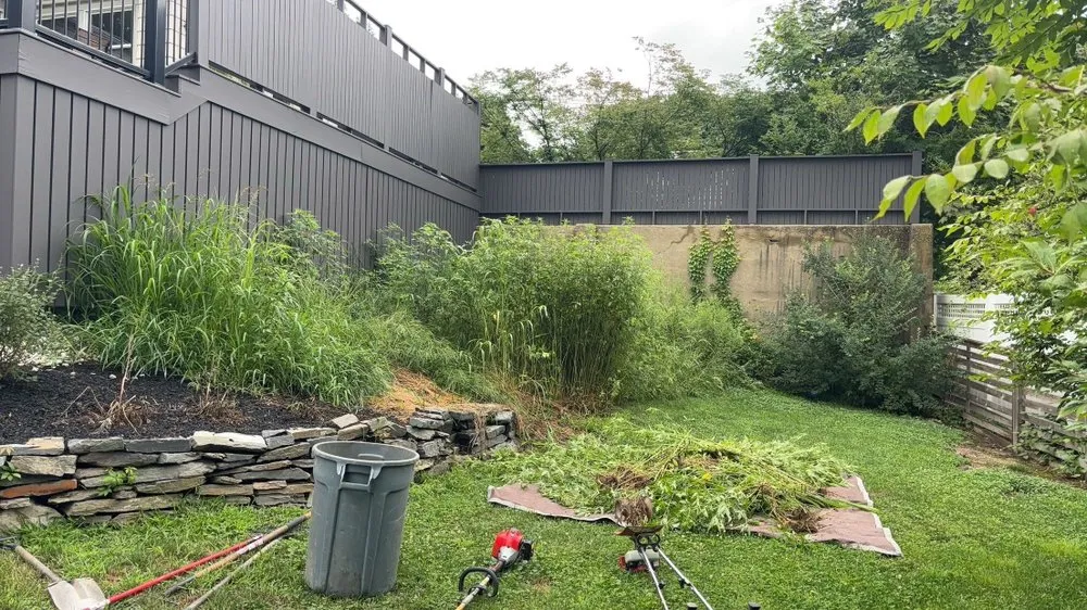 Reliable yard cleanup service for residential properties across Portland, ME - Steele Lawns