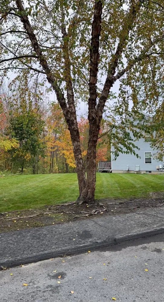 Reliable landscape design experts serving Portland, ME - Steele Lawns