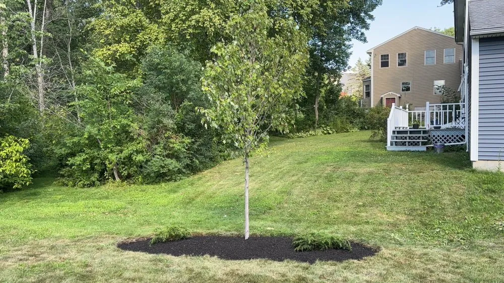 Top-rated lawn care service for residential properties in Portland, ME by Steele Lawns