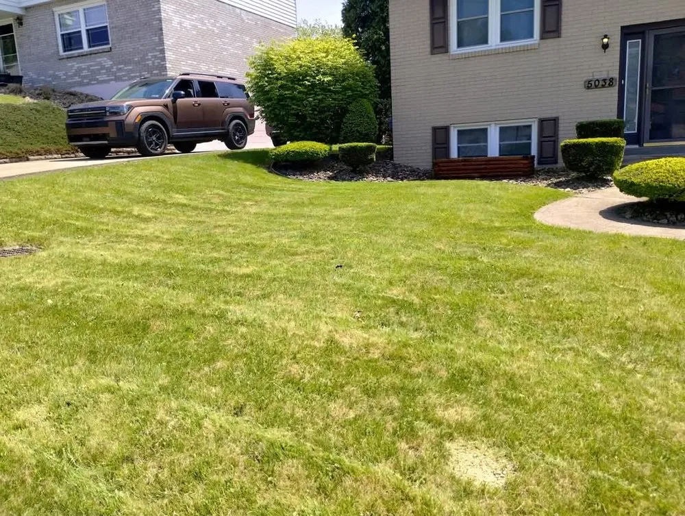 Affordable outdoor landscaping for outdoor upgrades in West Mifflin, PA by Steeltahn Lawn & Tree