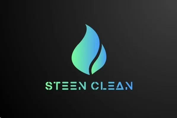 Steen Clean Logo