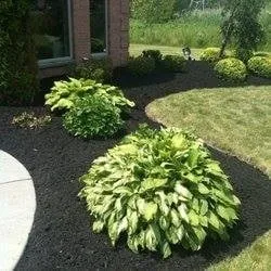 Trusted outdoor landscaping experts serving Monroe, NJ - Steeplechase Irrigation