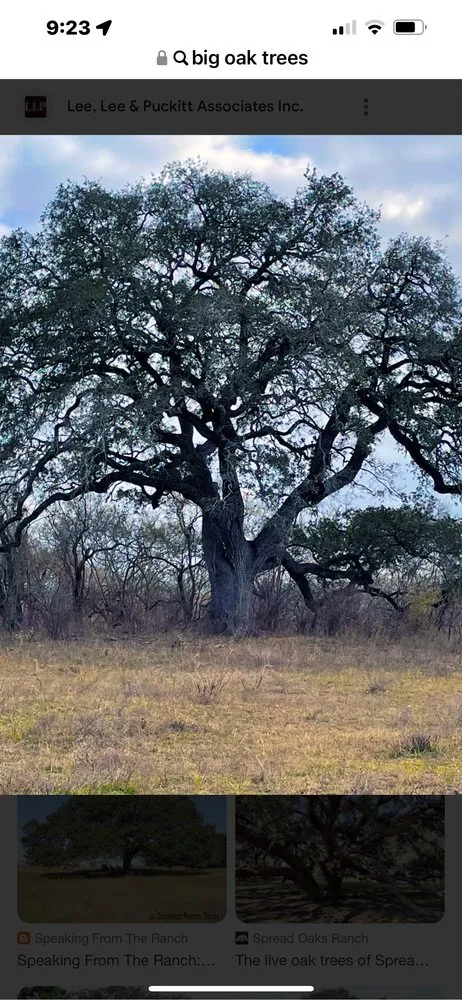 Custom garden landscaping near you in Green Cove Springs, FL by Steer Works Land Maintenance