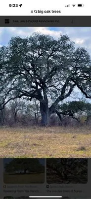 Steer Works Land Maintenance Logo