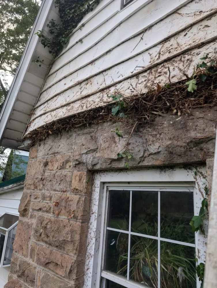 Professional residential landscaping near you across Butler, PA - Steetle's Construction And Laboring Service