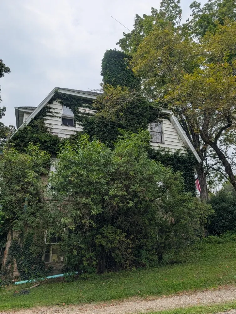 Local landscaping services for beautiful yards in Butler, PA by Steetle's Construction And Laboring Service