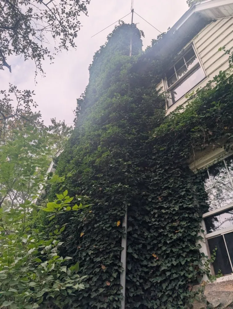 Reliable lawn mowing service in Butler, PA - Steetle's Construction And Laboring Service