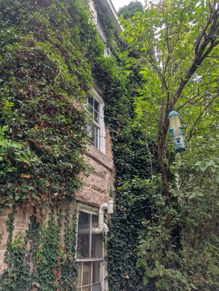 Expert landscape installation for residential properties across Butler, PA - Steetle's Construction And Laboring Service