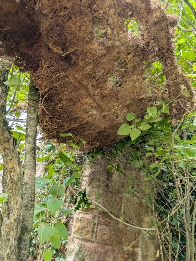 Trusted landscape installation in Butler, PA - Steetle's Construction And Laboring Service