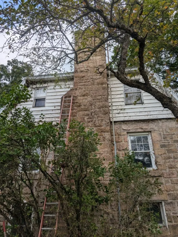 Professional yard cleanup service in Butler, PA by Steetle's Construction And Laboring Service