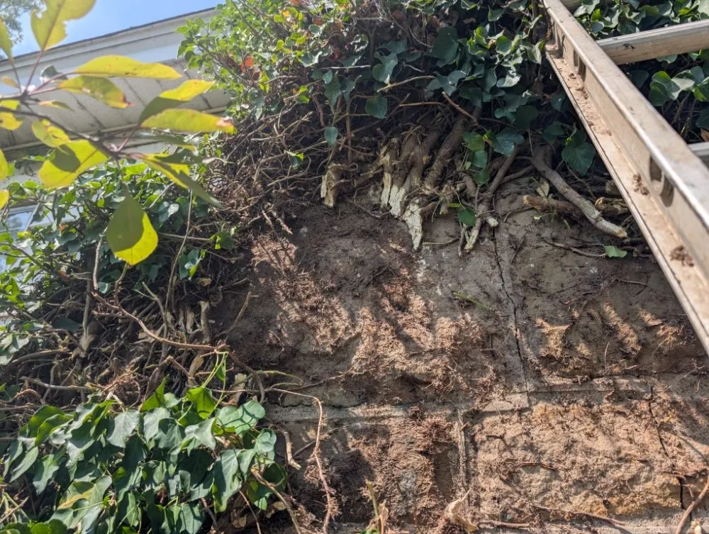 Expert landscape installation in Butler, PA by Steetle's Construction And Laboring Service