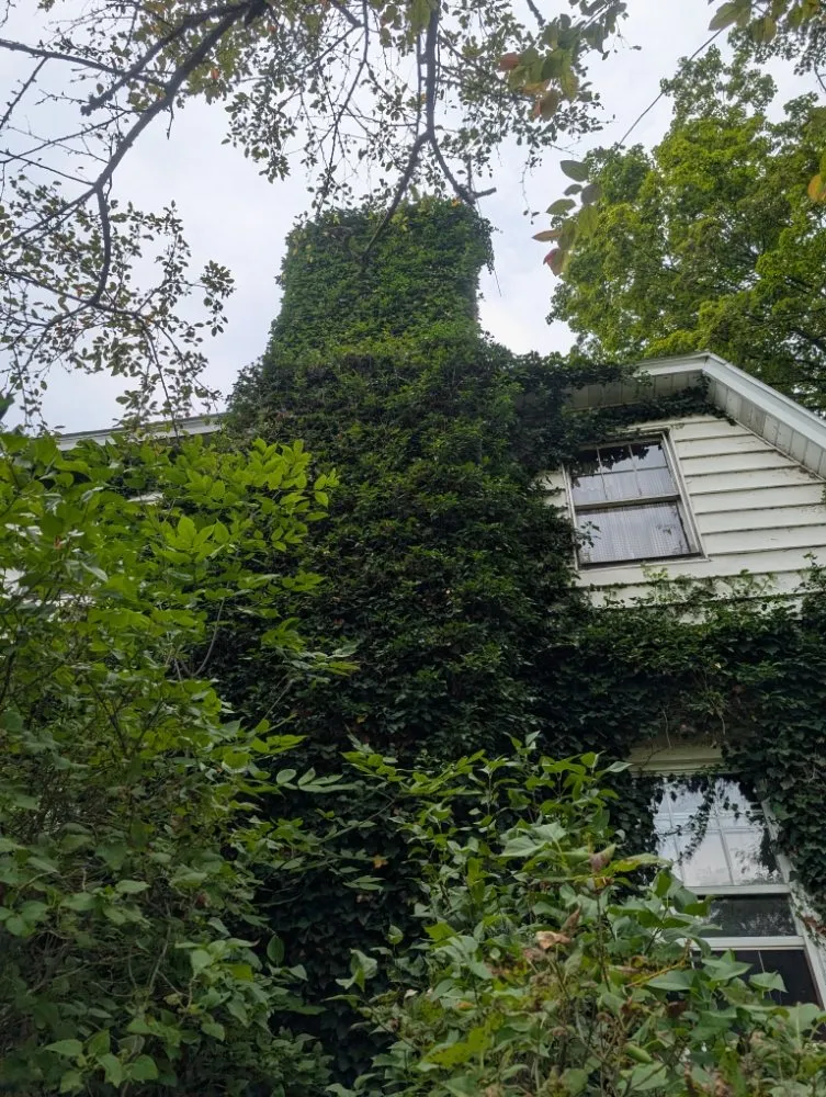 Trusted landscape installation for homes in Butler, PA by Steetle's Construction And Laboring Service