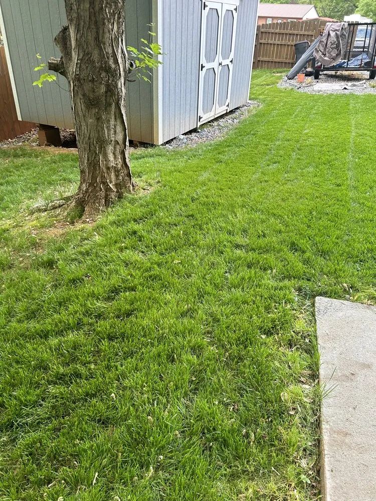 Top-rated landscape installation in Salisbury, NC - Stef Of All Trades