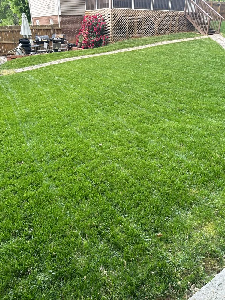 Expert lawn mowing service near you across Salisbury, NC - Stef Of All Trades