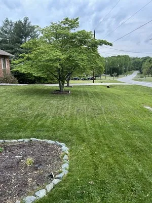 Stef Of All Trades Logo