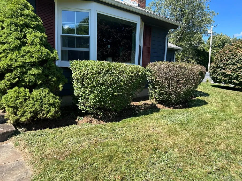 Affordable lawn care service in Middletown, CT by Steffman Landscaping