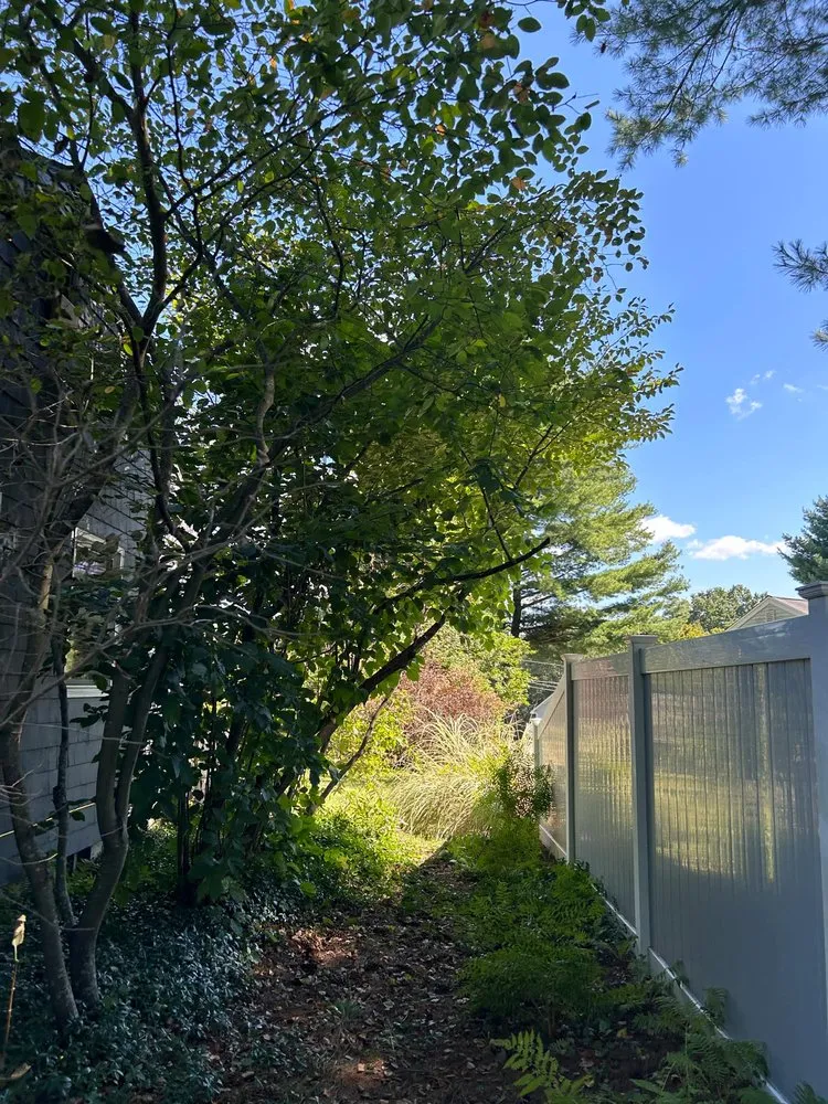 Trusted landscaping services for beautiful yards across Middletown, CT - Steffman Landscaping