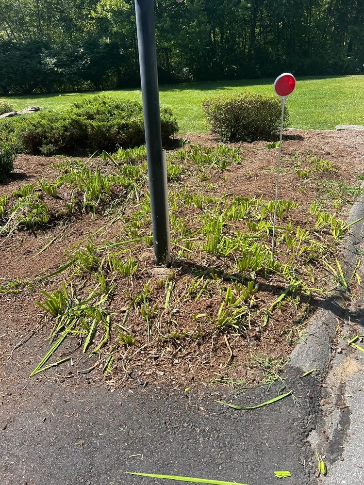 Expert landscaping services in Middletown, CT by Steffman Landscaping