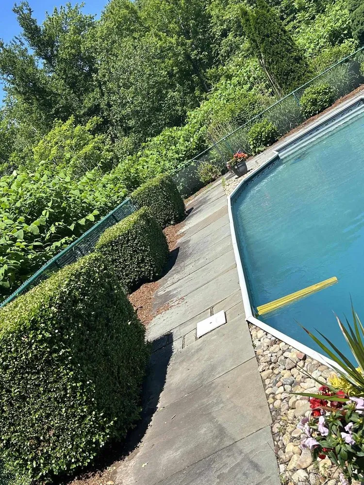 Expert landscape design for residential properties across Middletown, CT - Steffman Landscaping