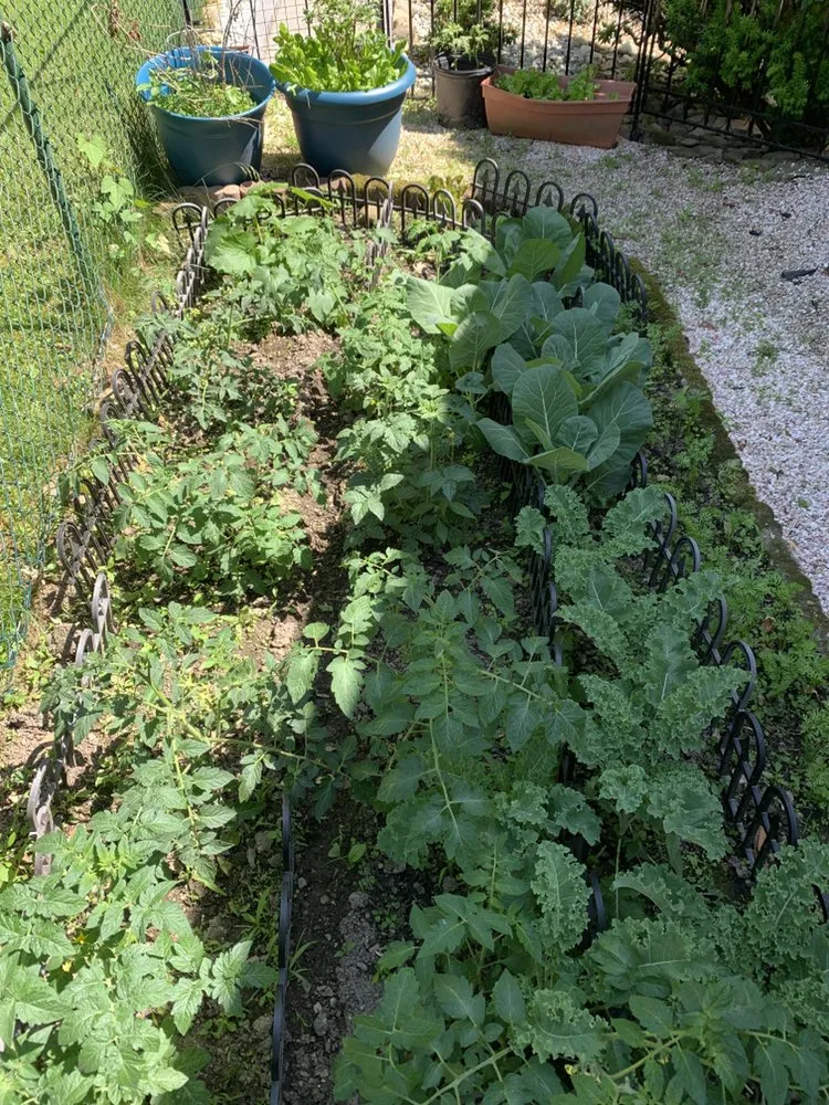 Trusted landscaping services in Pittsburgh, PA - Stef’s Yard Work and Landscaping