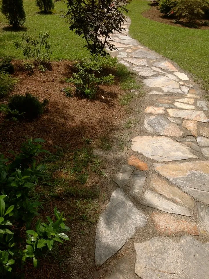 Trusted yard cleanup service near you in Florence, SC by Steger's Lawn Service