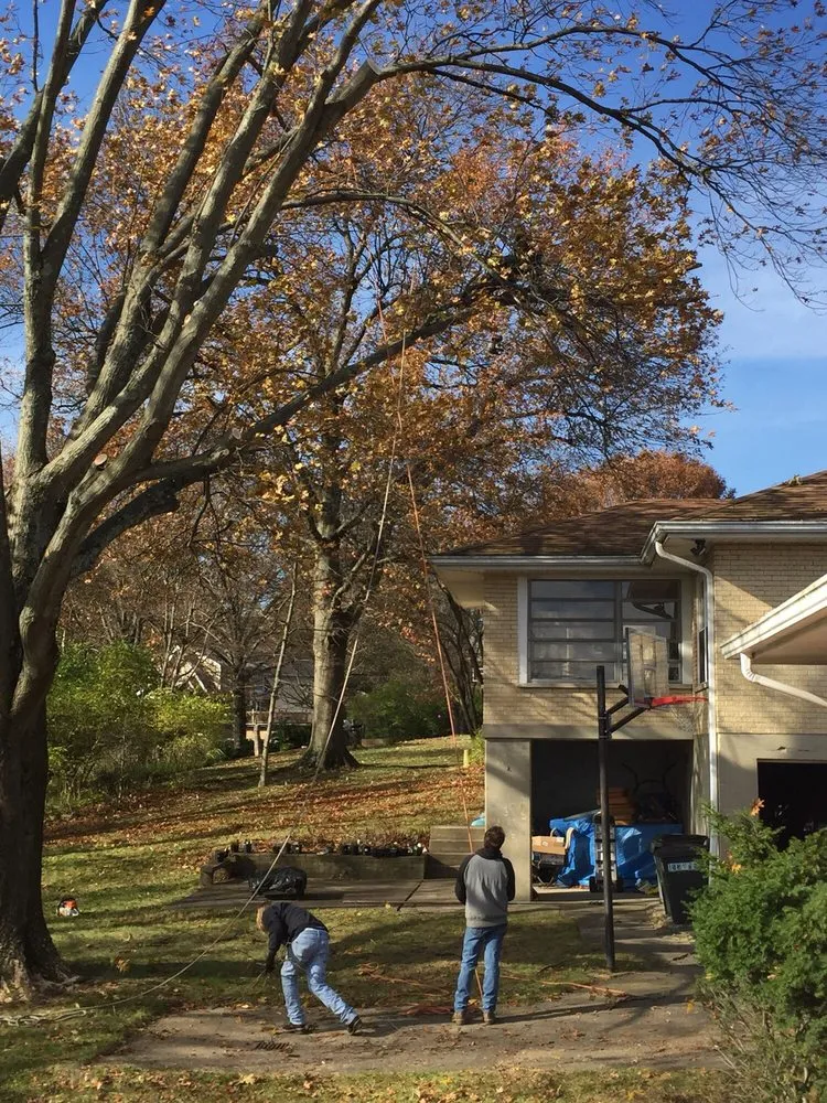 Affordable garden landscaping for year-round maintenance across Fort Thomas, KY - Stegman Industries