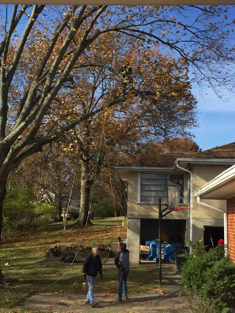 Affordable landscaping services in Fort Thomas, KY by Stegman Industries