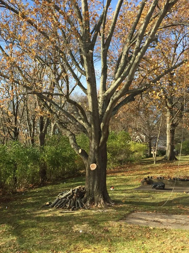 Custom lawn care service experts serving Fort Thomas, KY - Stegman Industries