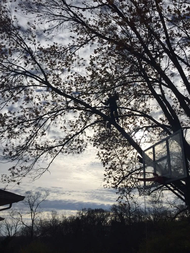 Affordable yard cleanup service with custom design across Fort Thomas, KY - Stegman Industries