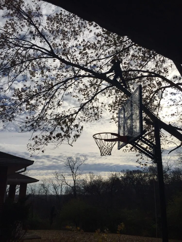 Affordable landscaping services in Fort Thomas, KY - Stegman Industries