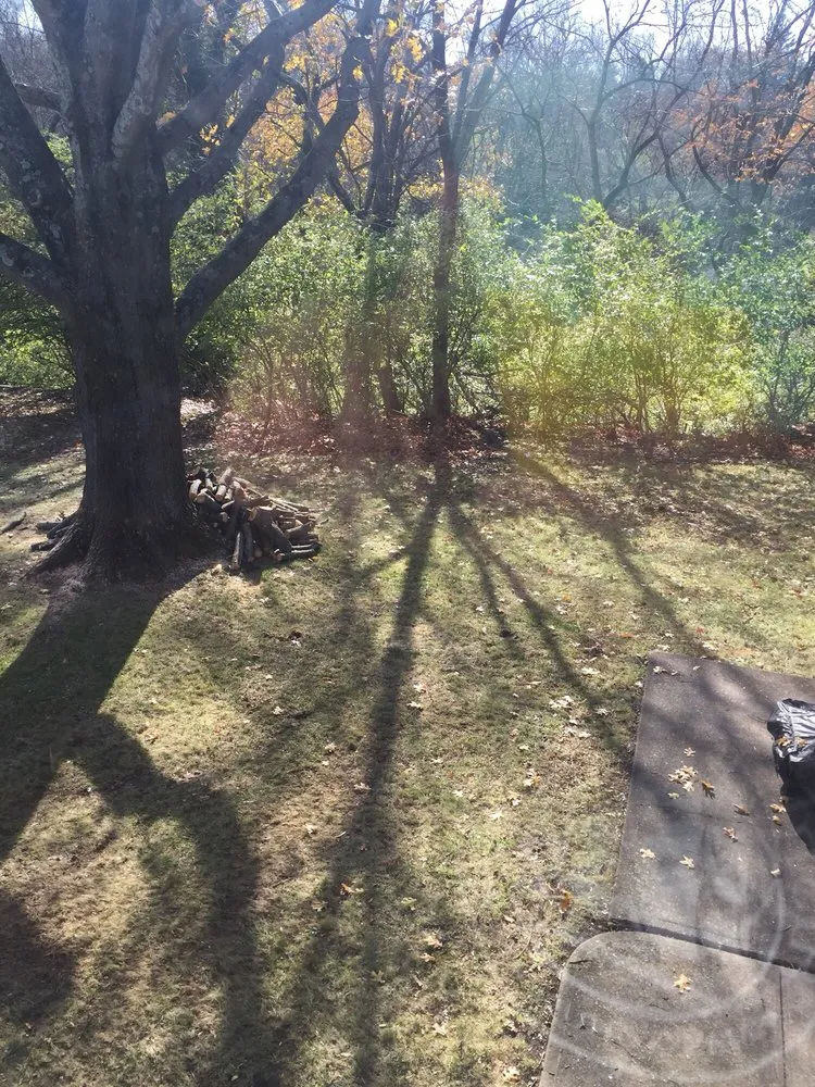 Top-rated yard maintenance in Fort Thomas, KY by Stegman Industries