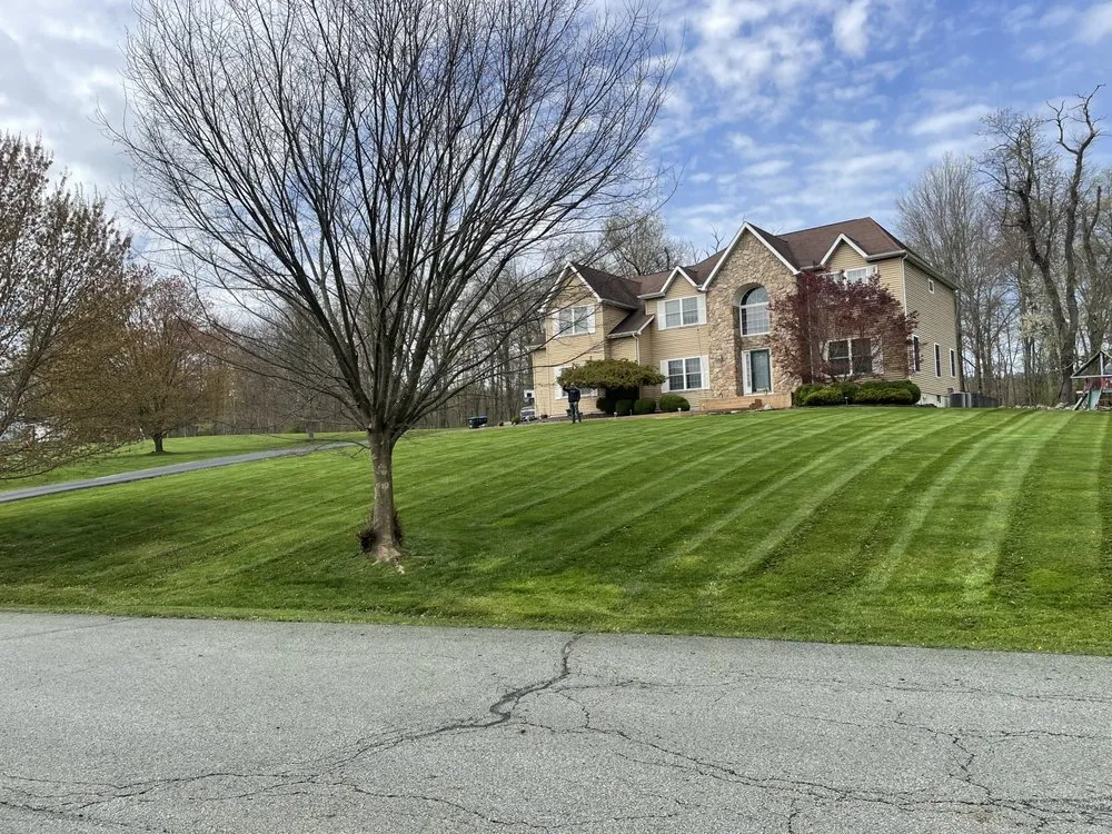 Top-rated yard maintenance for residential properties across Pine Bush, NY - Steinard’s Landscaping