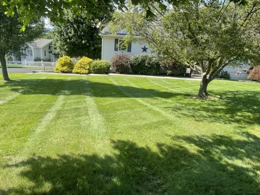 Steinard’s Landscaping