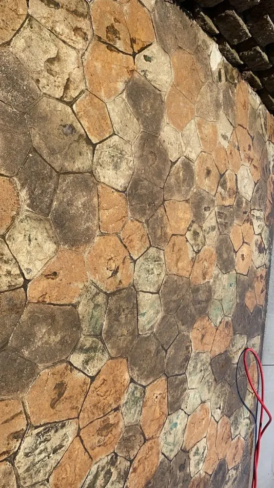 Top-rated landscaping services for beautiful yards in Cedar Rapids, IA by Steinbrech Washing