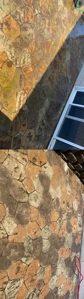 Expert yard maintenance in Cedar Rapids, IA - Steinbrech Washing