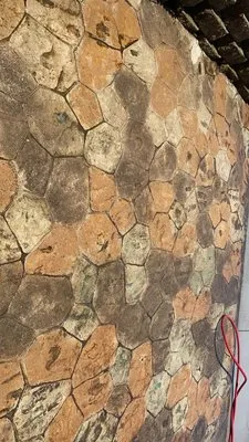 Steinbrech Washing Logo