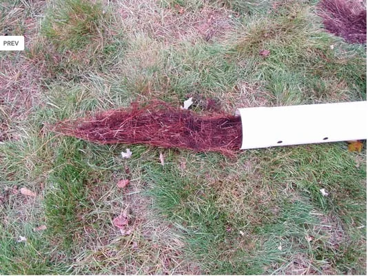 Steinbrecher Companies