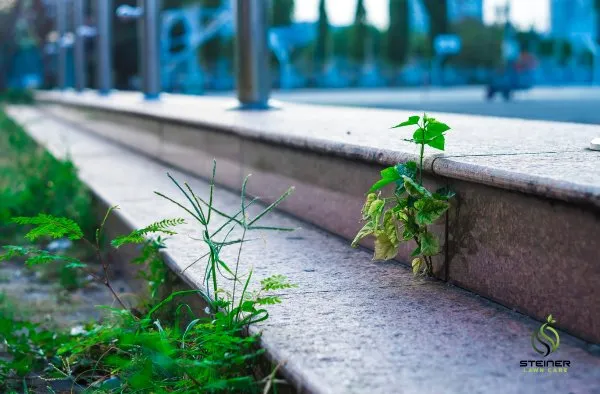 Affordable lawn care service experts serving Austin, TX - Steiner Lawn Care