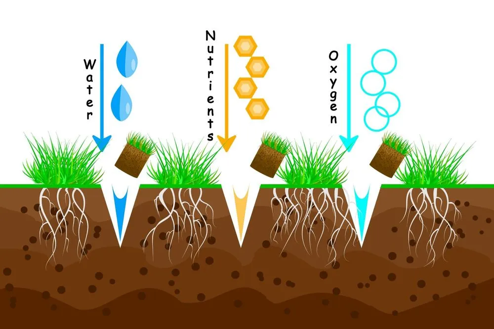 Professional landscape installation for homes in Austin, TX by Steiner Lawn Care