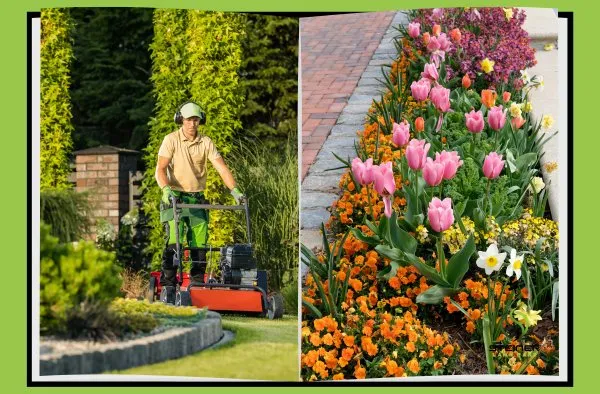 Professional yard cleanup service experts serving Austin, TX - Steiner Lawn Care