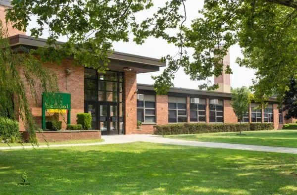 Custom landscaping services in Austin, TX by Steiner Lawn Care