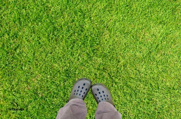 Custom residential landscaping near you across Austin, TX - Steiner Lawn Care