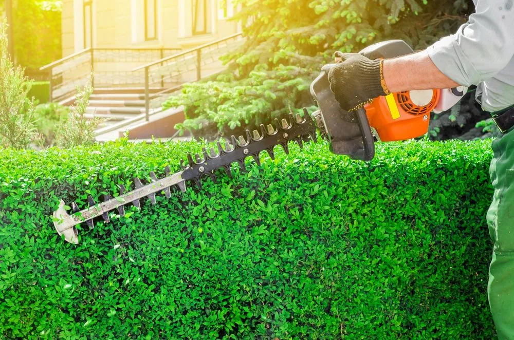 Affordable lawn mowing service in Austin, TX - Steiner Lawn Care