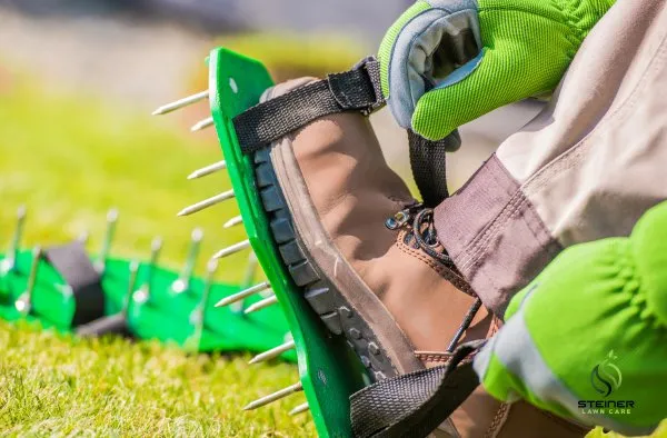 Trusted landscape design for homes in Austin, TX by Steiner Lawn Care