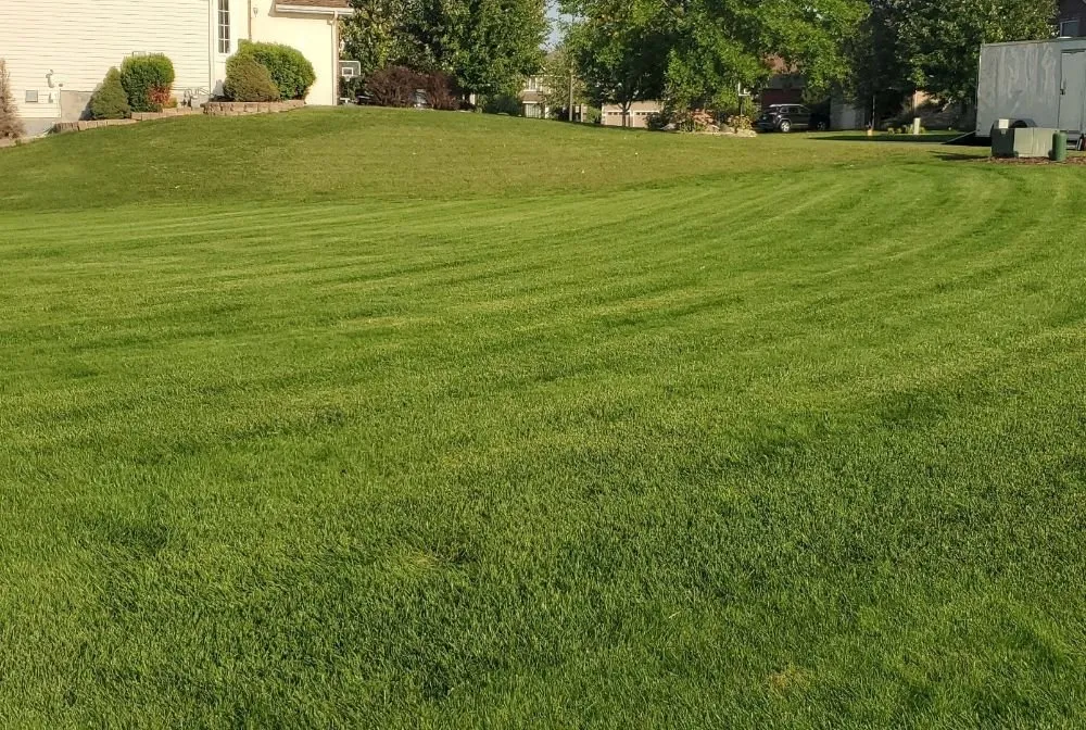 Trusted yard cleanup service experts serving Prior Lake, MN - Steiners Affordable lawn Care