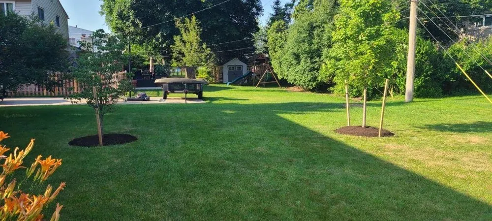 Expert lawn care service for beautiful yards across Farmington Hills, MI - Steinkopf Nursery