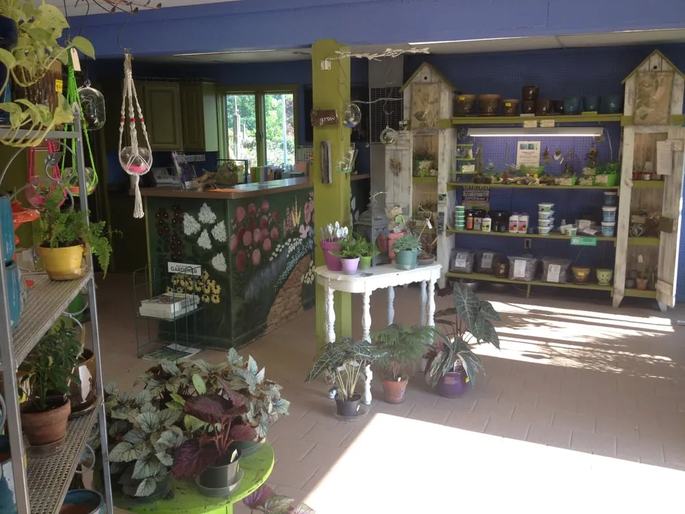 Expert yard cleanup service experts serving Farmington Hills, MI - Steinkopf Nursery