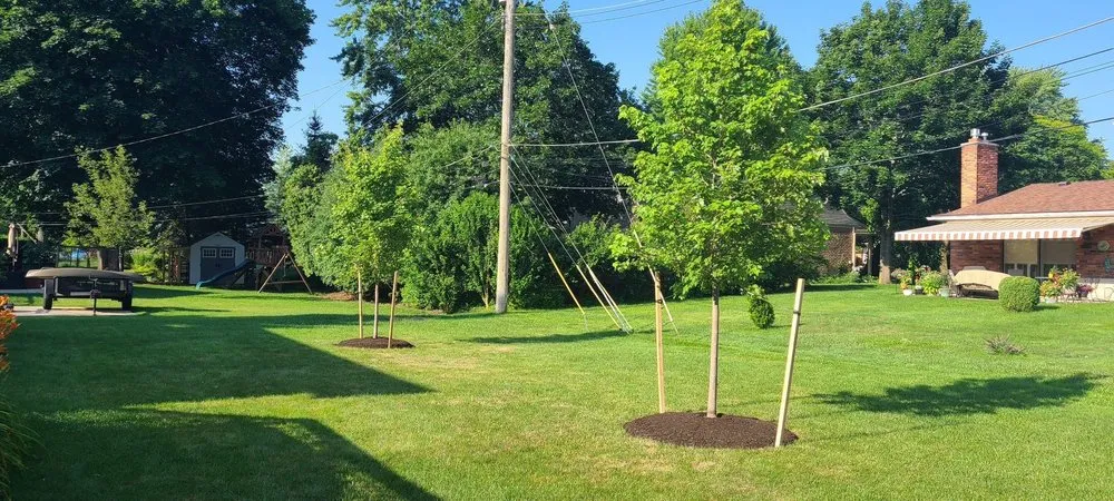 Top-rated outdoor landscaping in Farmington Hills, MI by Steinkopf Nursery